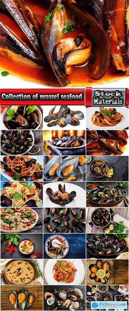 Collection of mussel seafood soup is a delicacy fried meat protein 25 HQ Jpeg