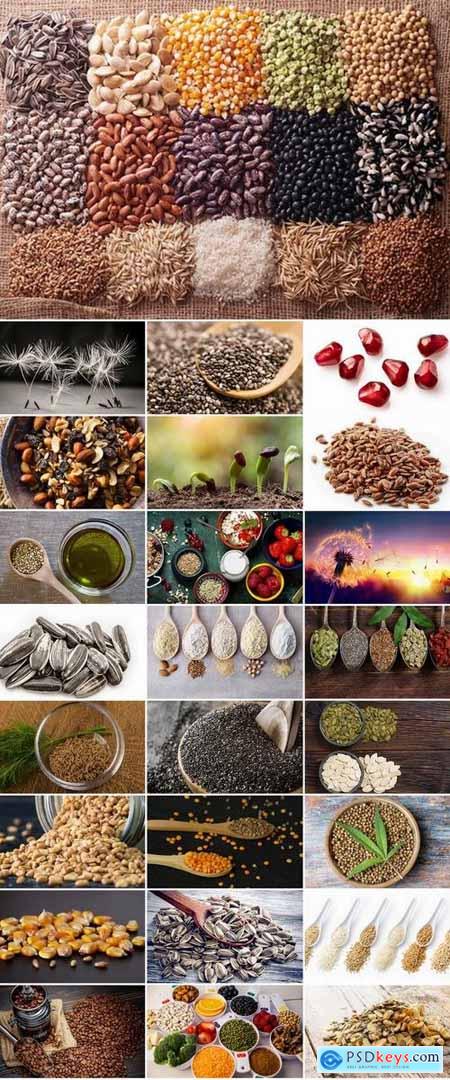 Collection of seeds seed nut oil 25 HQ Jpeg