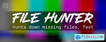 File Hunter AE Script