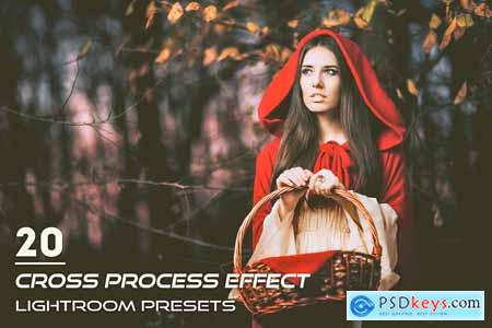 20 Cross Process Effect Presets