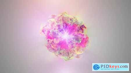 Videohive Colorful Flowers Logo Reveal