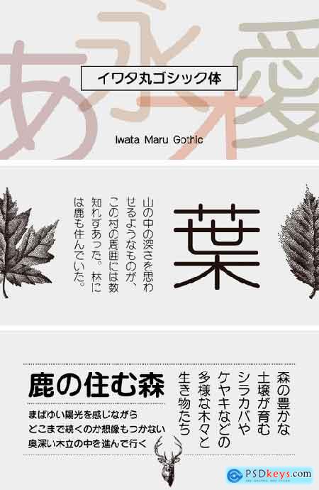 Iwata Maru Gothic Pro Font Family