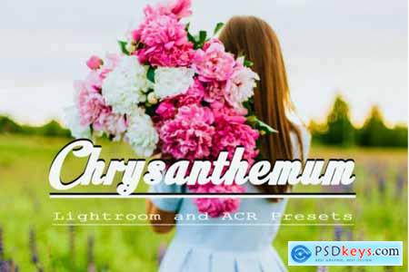 Chrysanthemum Lightroom and ACR Presets