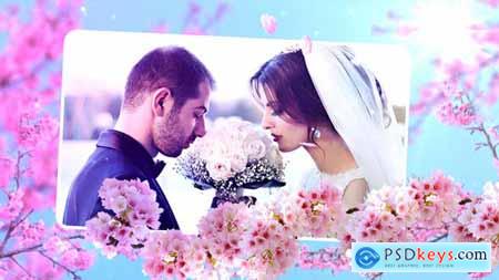VideoHive Wedding Flowers Slideshow 24038015