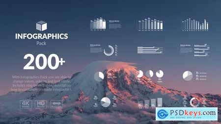 Videohive Infographics Pack 21573990