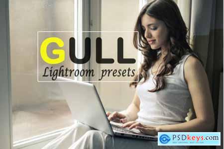 Gull Instagram Blogger Lightroom Presets