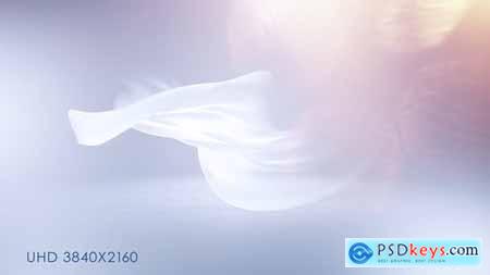 Videohive Soft Clean Logo Reveal