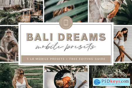 Bali Lightroom MOBILE Presets 3908640