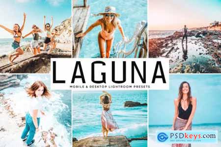 Laguna Mobile & Desktop Lightroom Presets