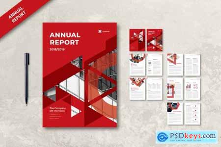 Proffesional Annual Report