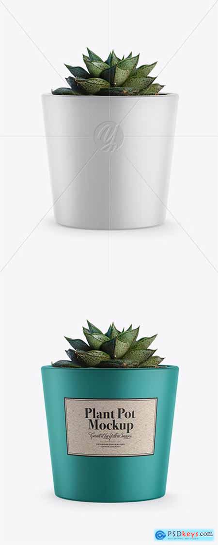 Ceramic Plant Pot Mockup 36675