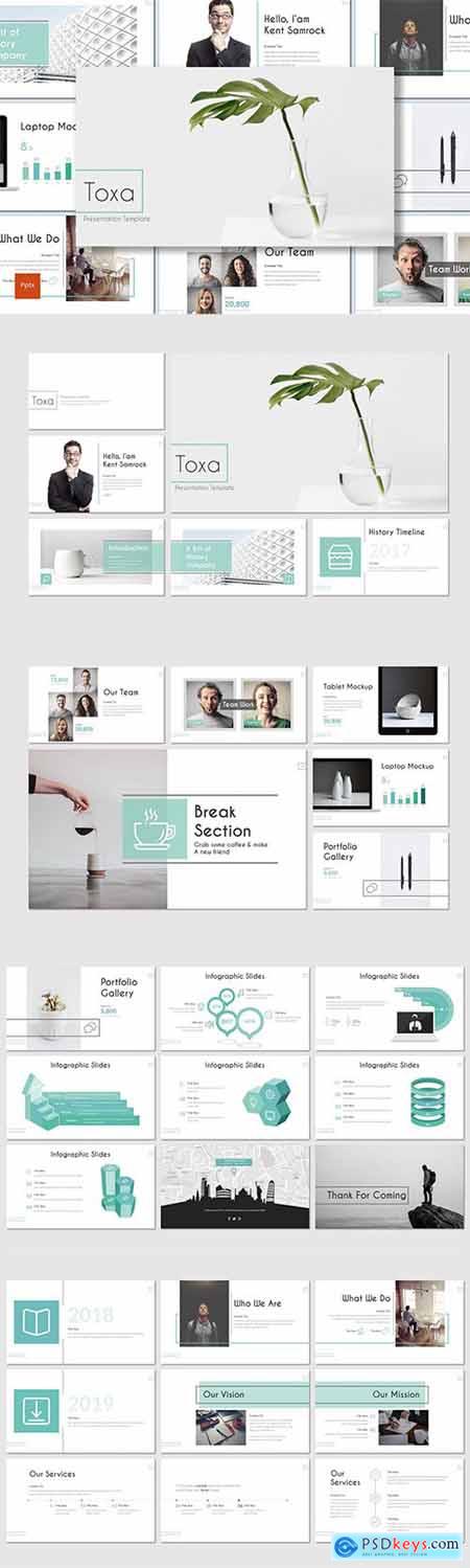 Toxa - Investment Powerpoint Template