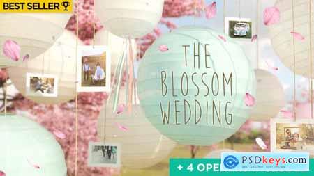 Videohive Wedding Slideshow 14669458( Last Update 2 April 19 )