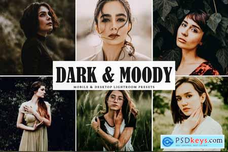 Dark & Moody Lightroom Presets 3976046