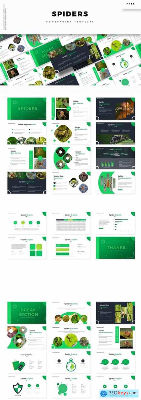 Spiders Powerpoint, Keynote and Google Slides Templates