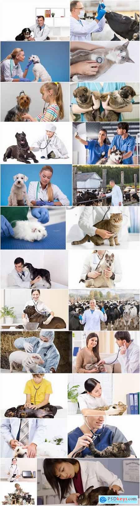 Different veterinarian 25 HQ Jpeg