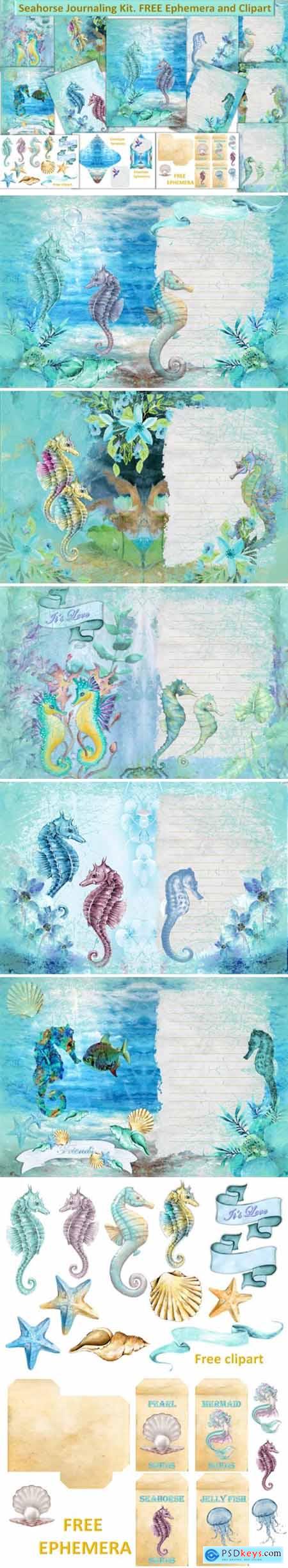 Seahorse Backing Papers 1667543