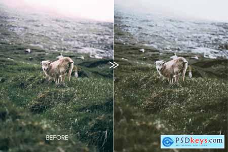Moody Matte VSCO Film Cinema Presets 3977210 Moody Matte VSCO Film Cinema Presets 3977210