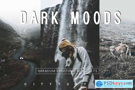 Moody Matte VSCO Film Cinema Presets 3977210 Moody Matte VSCO Film Cinema Presets 3977210