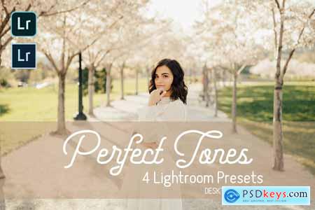 Perfect Tones Lightroom Presets 3979543