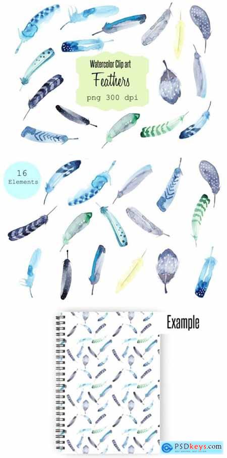 Watercolor Clip Art Feathers