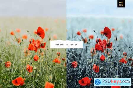 5 Cool Blush Lightroom Presets Pack 4001769