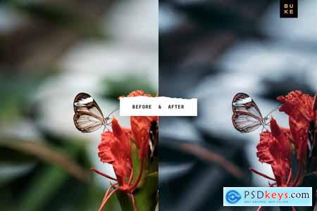 5 Cool Blush Lightroom Presets Pack 4001769