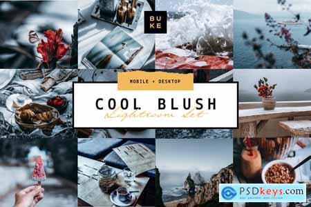 5 Cool Blush Lightroom Presets Pack 4001769