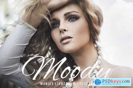 Moody Mobile & Desktop Lightroom Presets