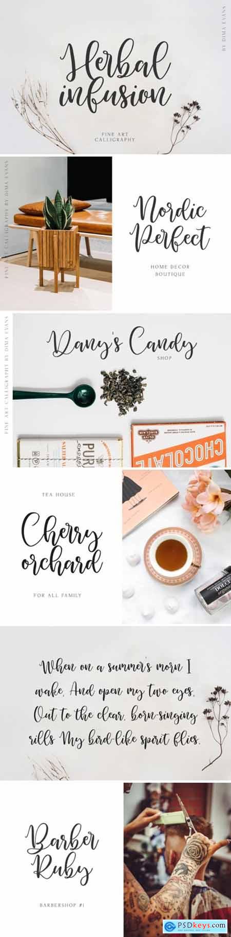 Herbal Infusion Font