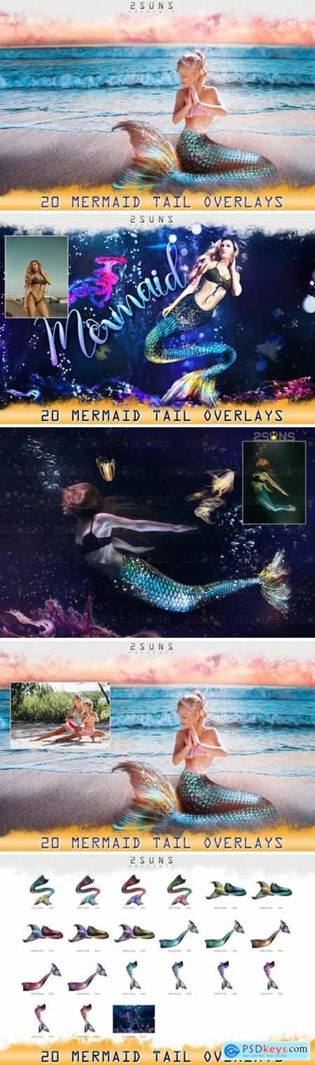 Mermaid Tail 1708982