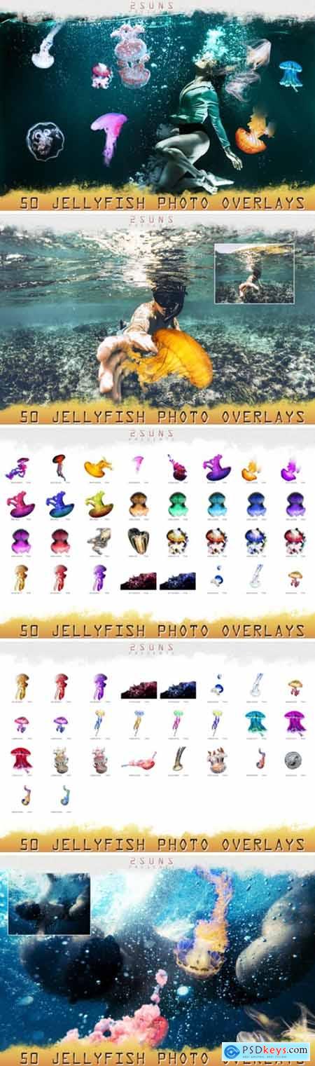 50 Jellyfish Overlays 1717705