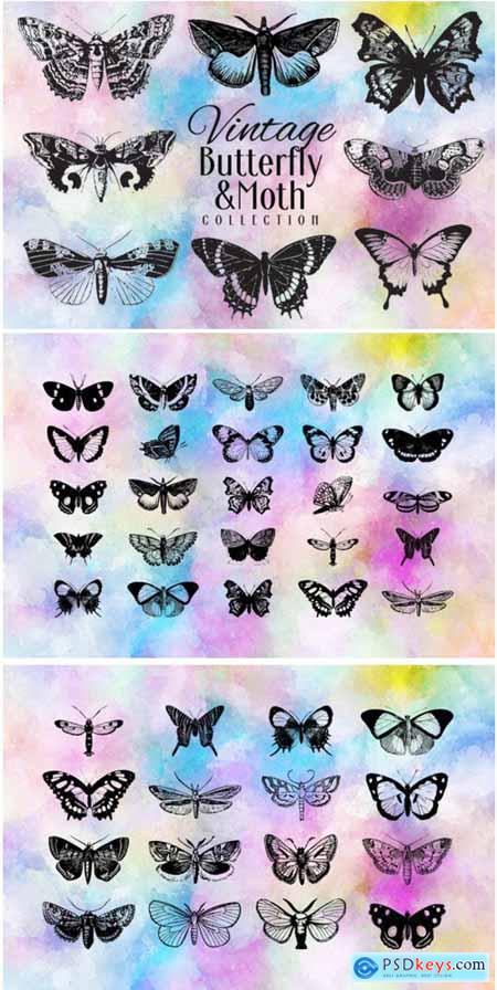Vintage Butterfly Collection 1715315