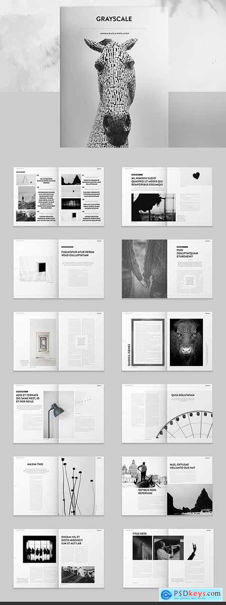 Brochure Layout with Black and White Accents 259778918