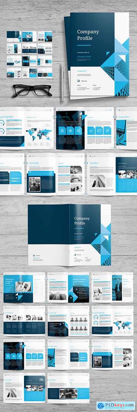 Company Profile Layout with Blue Accents 257946132