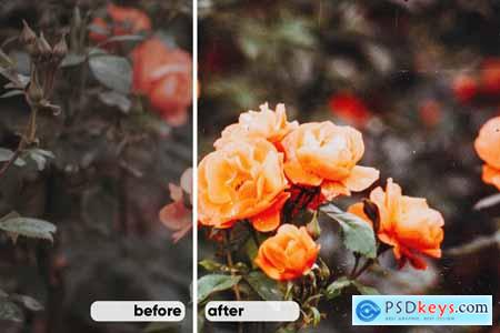 Vintage Film  LR Presets & Textures 4017708