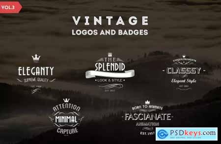 Vintage Logos and Badges Template - Vol.3