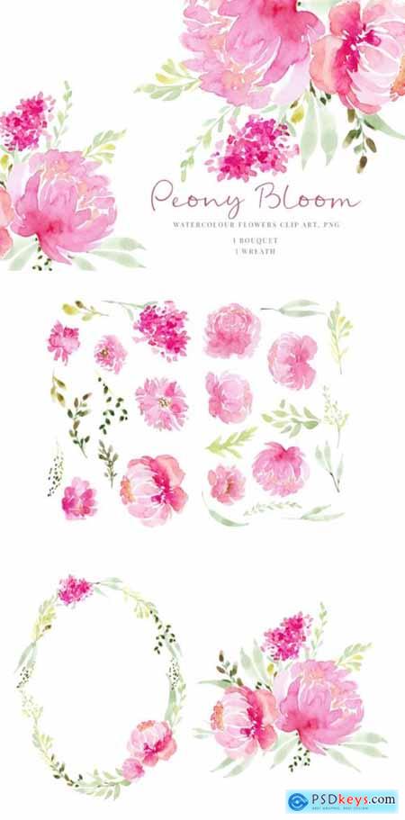 Pink Flowers Peony 1738572