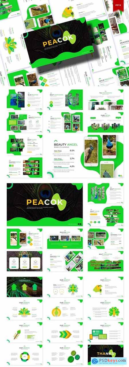 Peacok Powerpoint, Keynote and Google Slides Templates