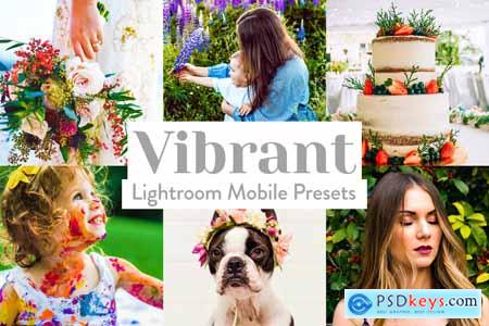 Vibrant Lightroom Presets Mobile 4026024