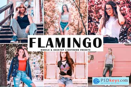 Creativemarket Flamingo Pro Lightroom Presets 4080521