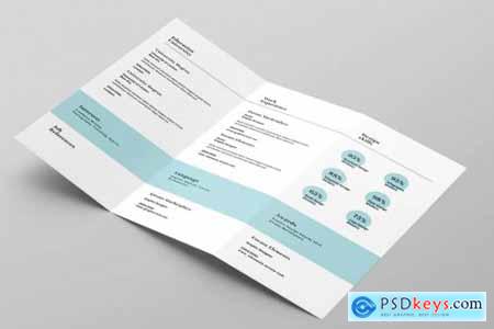 Clean Trifold Resume