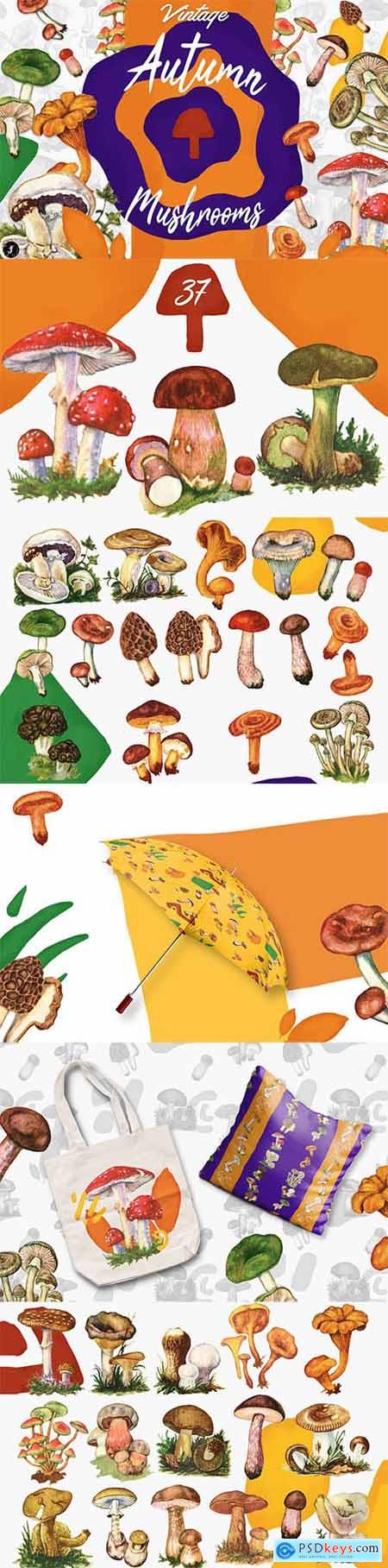 Vintage Autumn Mushrooms