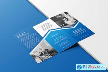 Trifold Brochure 017