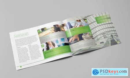 LIght Business Landscape Brochure