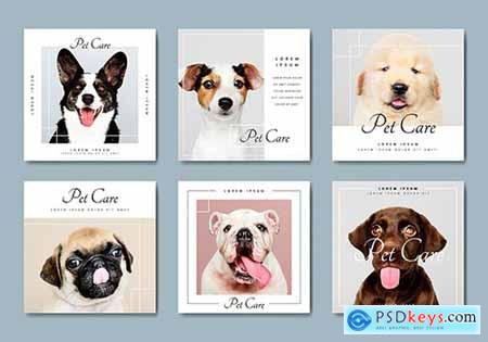 Pet care banner template vectors collection 845709