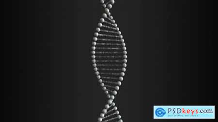 Videohive Spinning DNA Molecule Model with Numbers 24631848