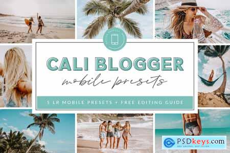 Cali Blogger Lightroom MOBILE Preset 4043898