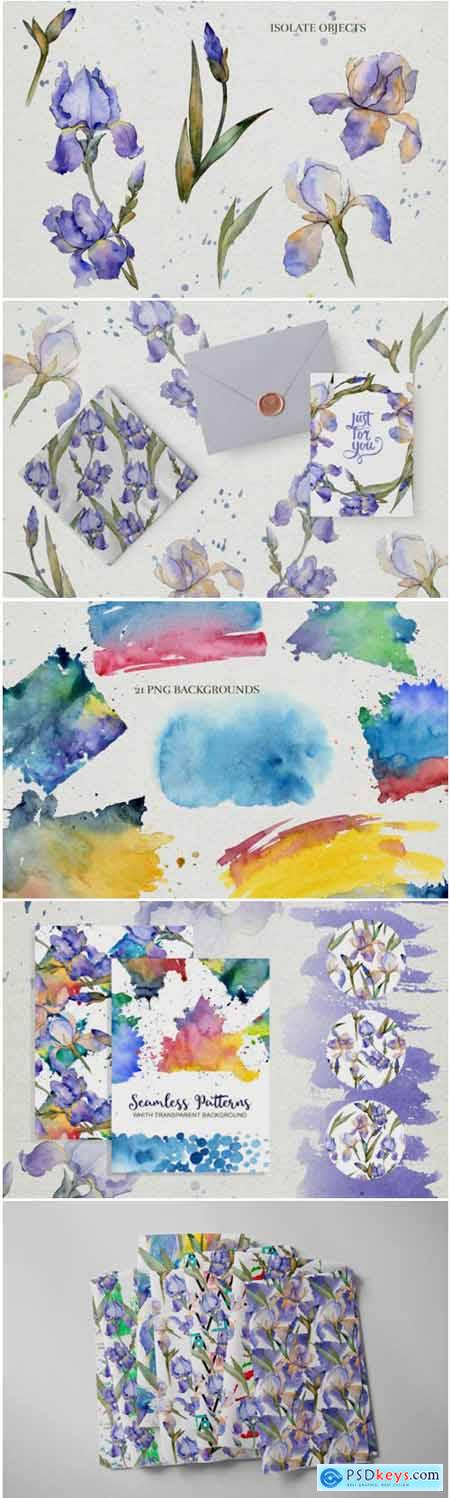 Blue Irises Flowers Morning Dawn 1777837