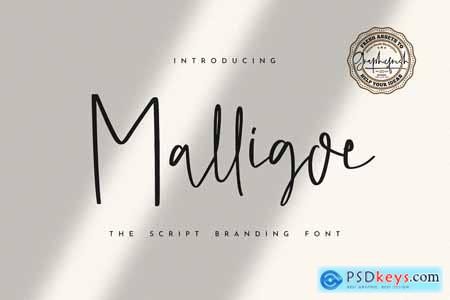 Malligoe - The Script Branding Font 4128967